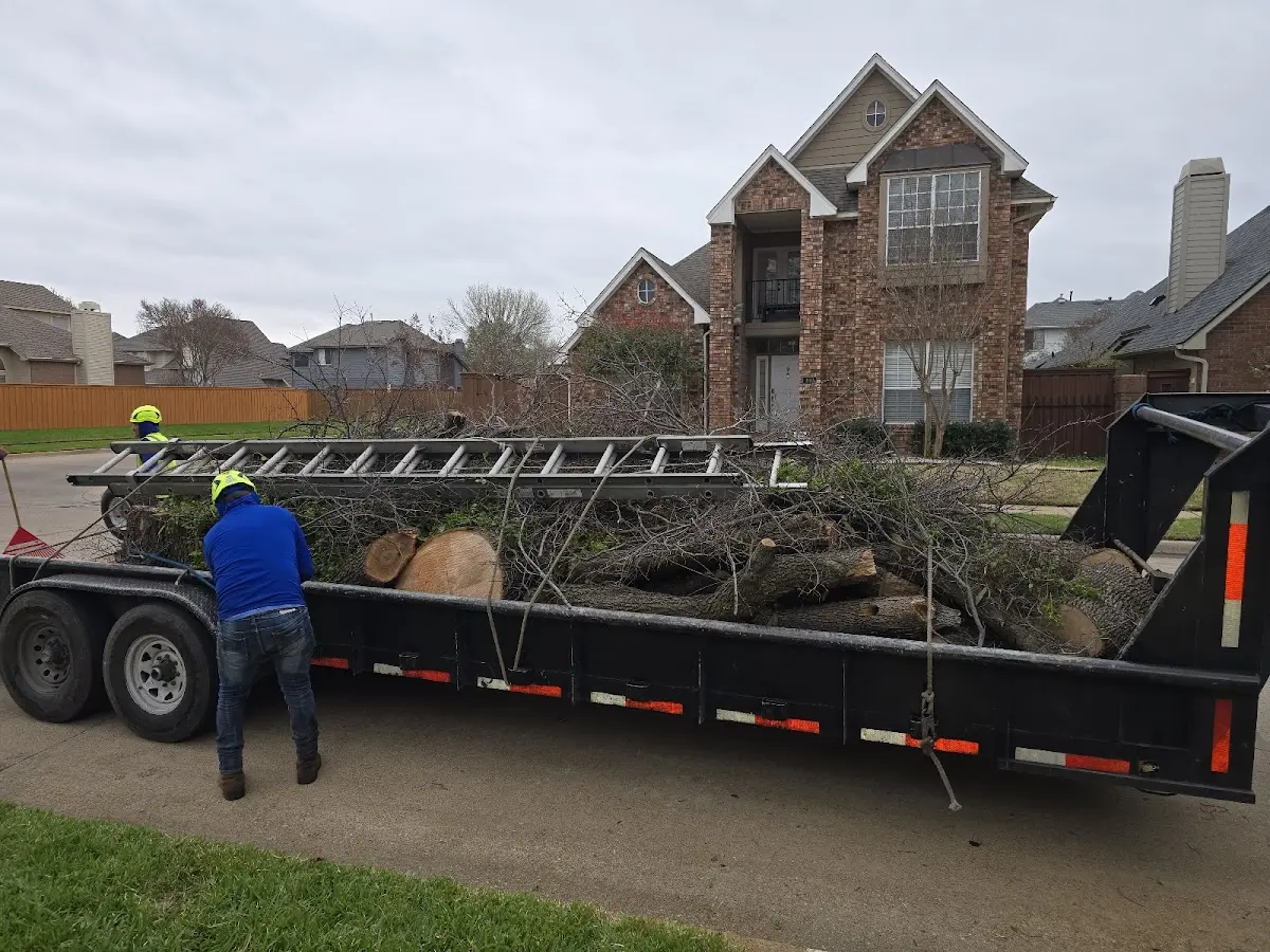 Expert Tree Pest Control with proper safety equipment in Rosanky
